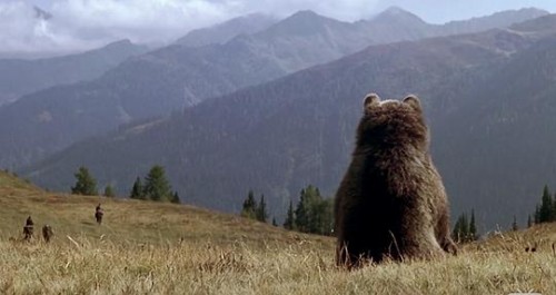 BXodk.jpg
