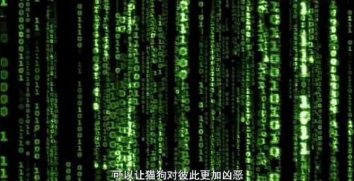 BAiHe.jpg